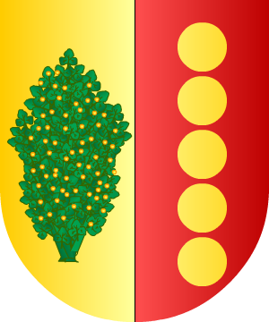 ESCUDO SIGUIENTE